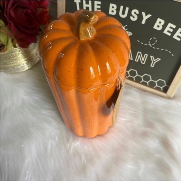 10 Strawberry Street Large Pumpkin Canister - Picture 4 of 5